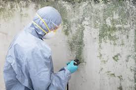 Best Forensic Mold Investigation  in Grandview, OH